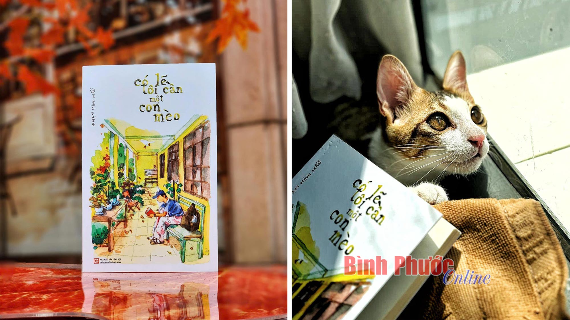 “Có lẽ tôi cần một con mèo” - cuốn sách chữa lành gửi tặng người trẻ