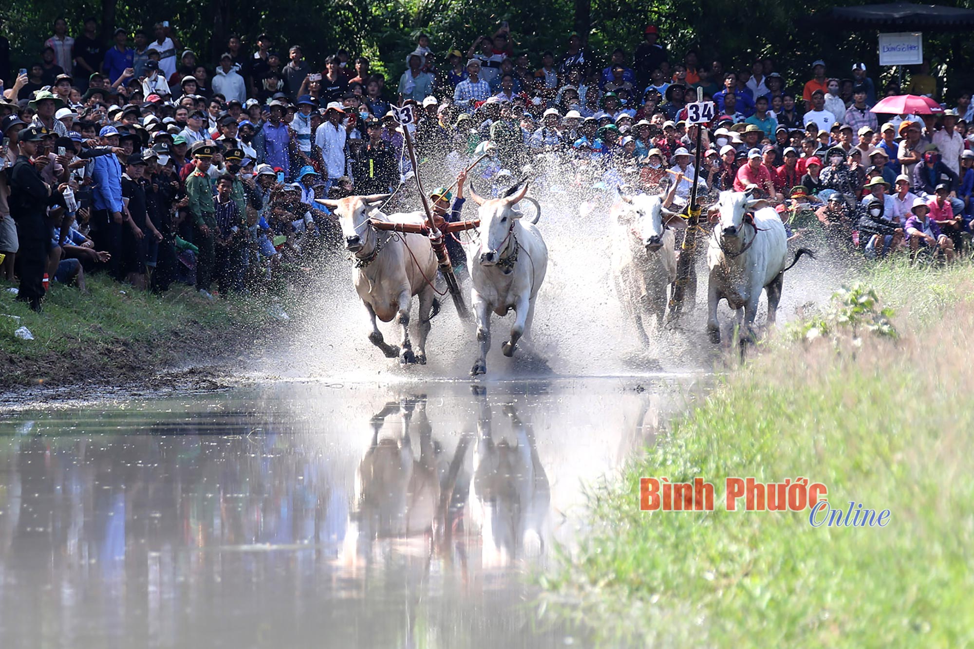 Cuộc tranh tài nảy lửa của những "siêu bò"