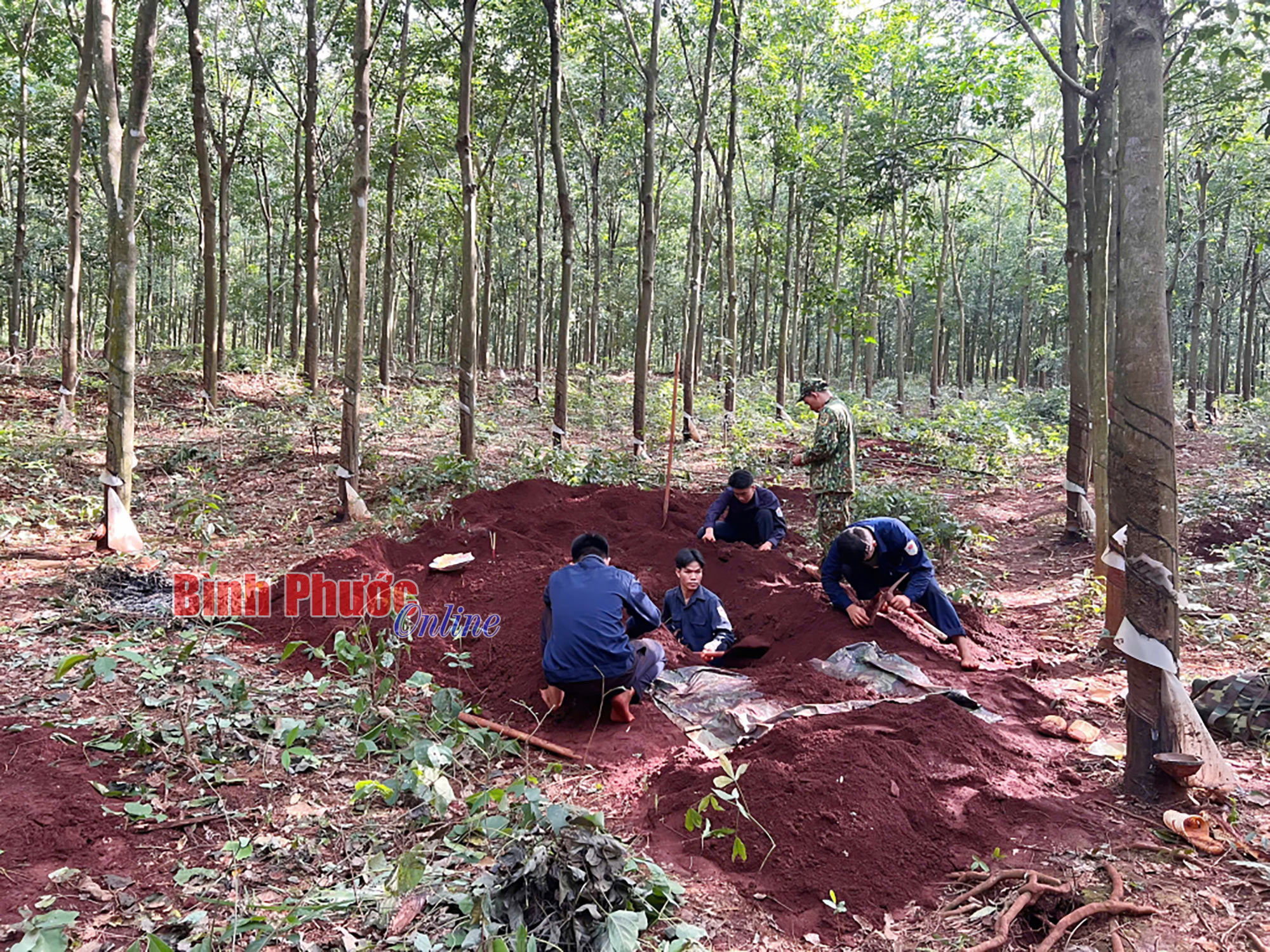 Đã tìm thấy 41 hài cốt liệt sĩ tại khu vực sân bay quân sự Lộc Ninh