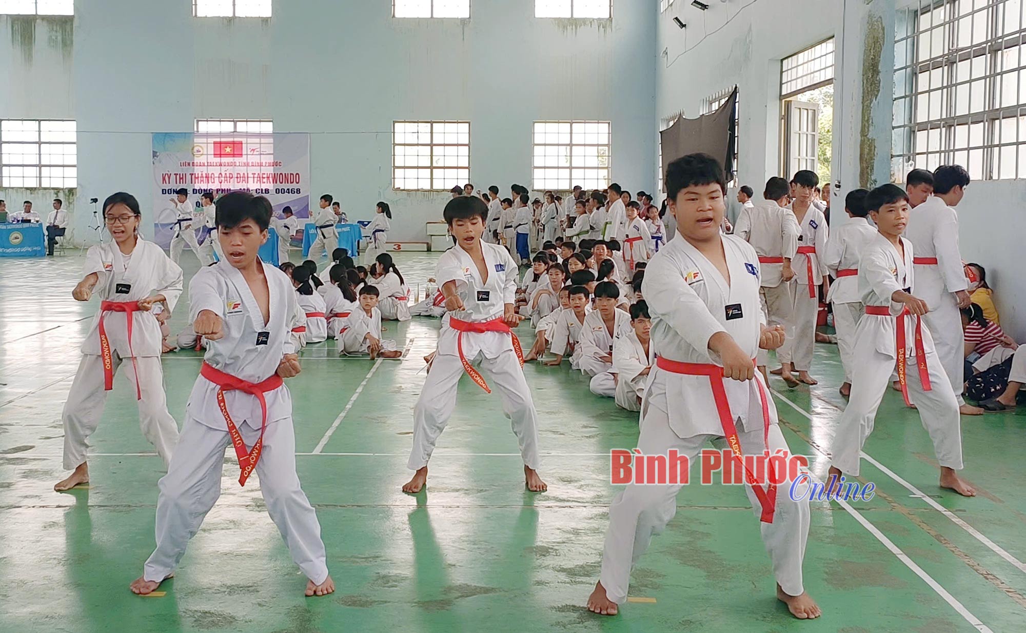 Đồng Phú: 296 võ sinh môn Taekwondo tham dự kỳ thi thăng cấp