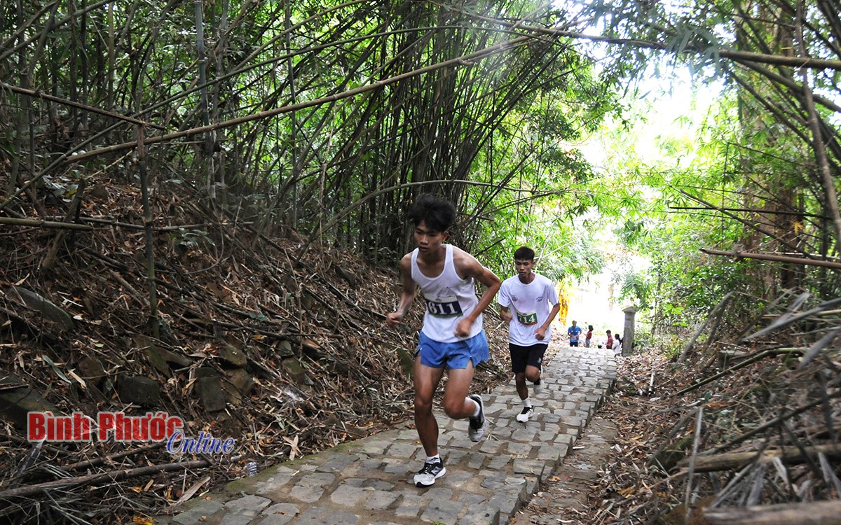 Giải Vô địch quốc gia Việt dã leo núi “Chinh phục đỉnh cao Bà Rá” lần thứ 30 thi đấu 22 nội dung