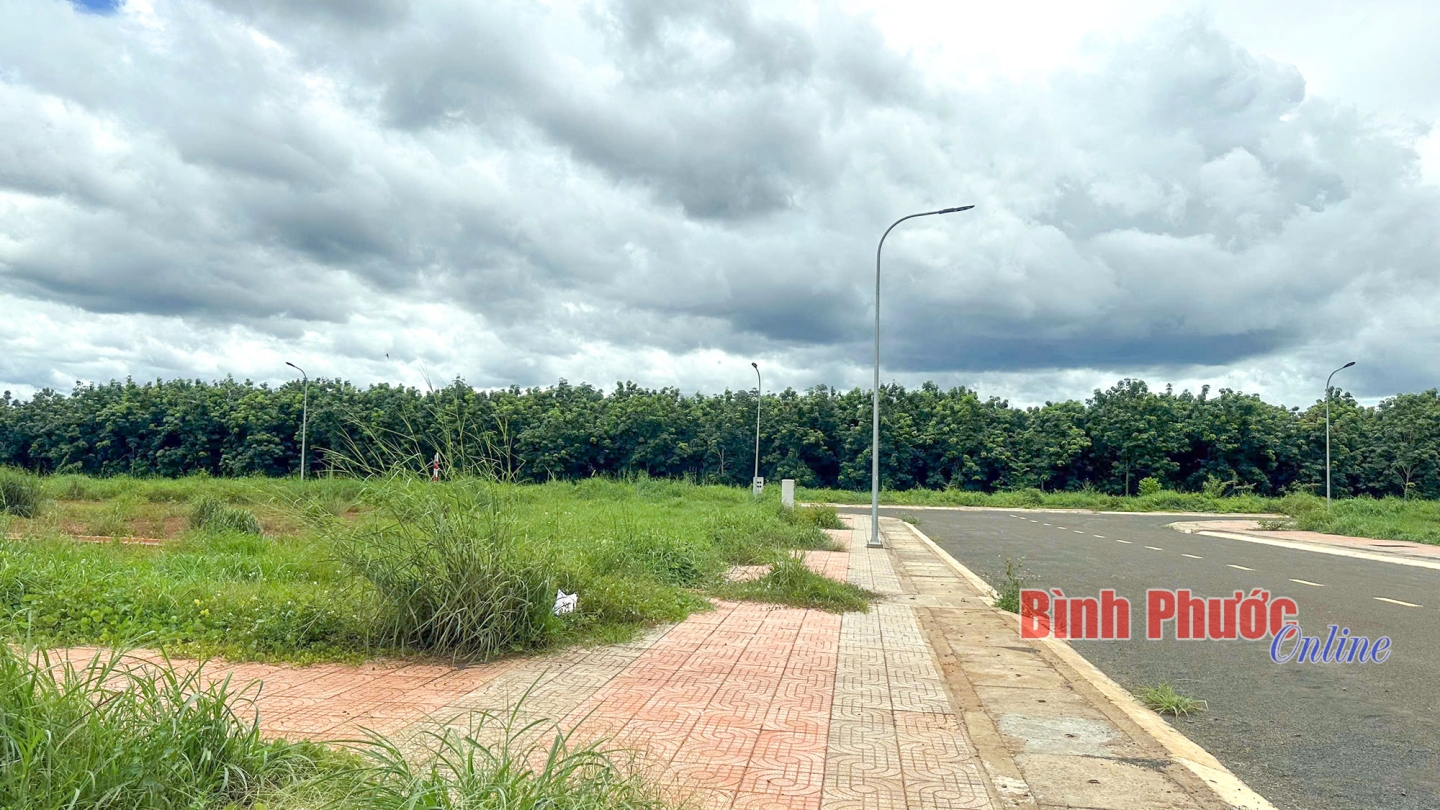 Gỡ vướng đấu giá quyền sử dụng đất