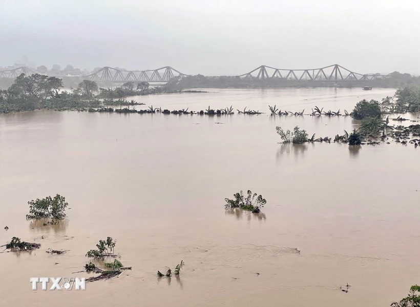 Lũ trên sông Cầu, sông Thương, sông Thái Bình, sông Hồng đang lên