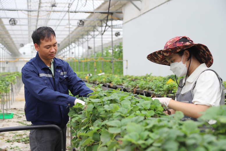 Nghị quyết 143/NQ-CP: Lực đẩy quan trọng cho doanh nghiệp phục hồi sau bão lũ