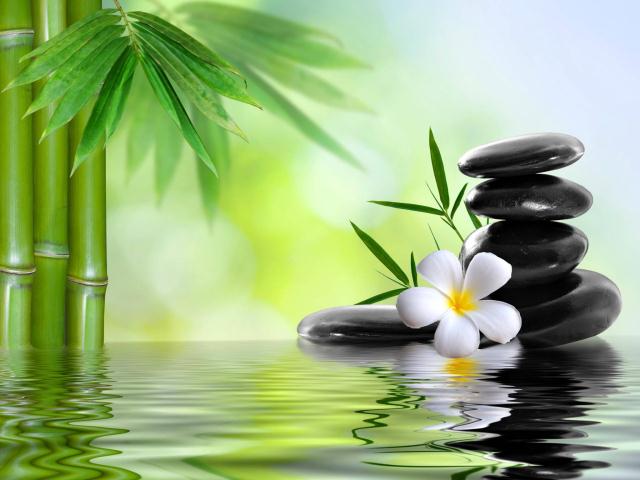 Sắp trọn một đời