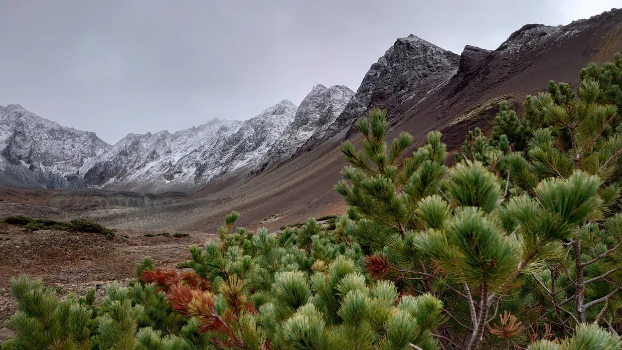 Tìm thấy toàn bộ 22 thi thể trong vụ rơi trực thăng ở Kamchatka, Nga