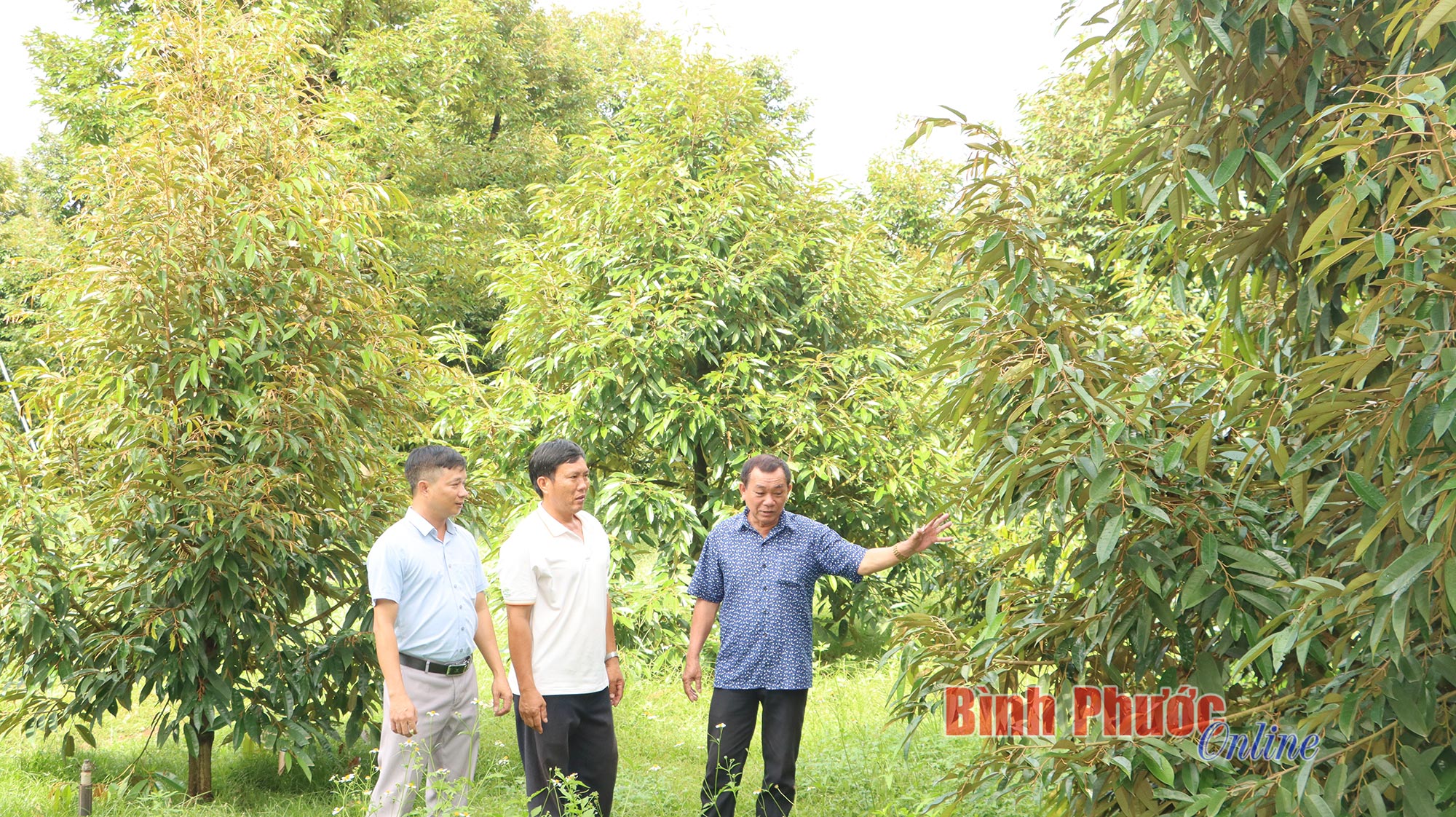 Xây dựng nông thôn mới ở Phú Riềng: Rõ mục tiêu, sát thực tiễn