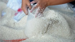 Xuất cấp 200 tấn gạo hỗ trợ các địa phương bị ảnh hưởng bão số 3