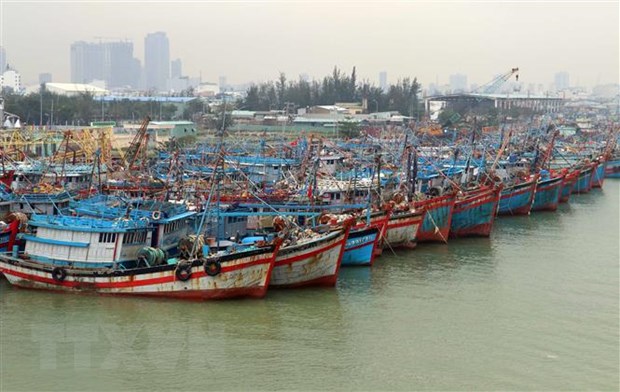 Theo dõi và chủ động ứng phó với khả năng bão trên Biển Đông hình ảnh 1 Theo doi va chu dong ung pho voi kha nang bao tren Bien Dong hinh anh 1