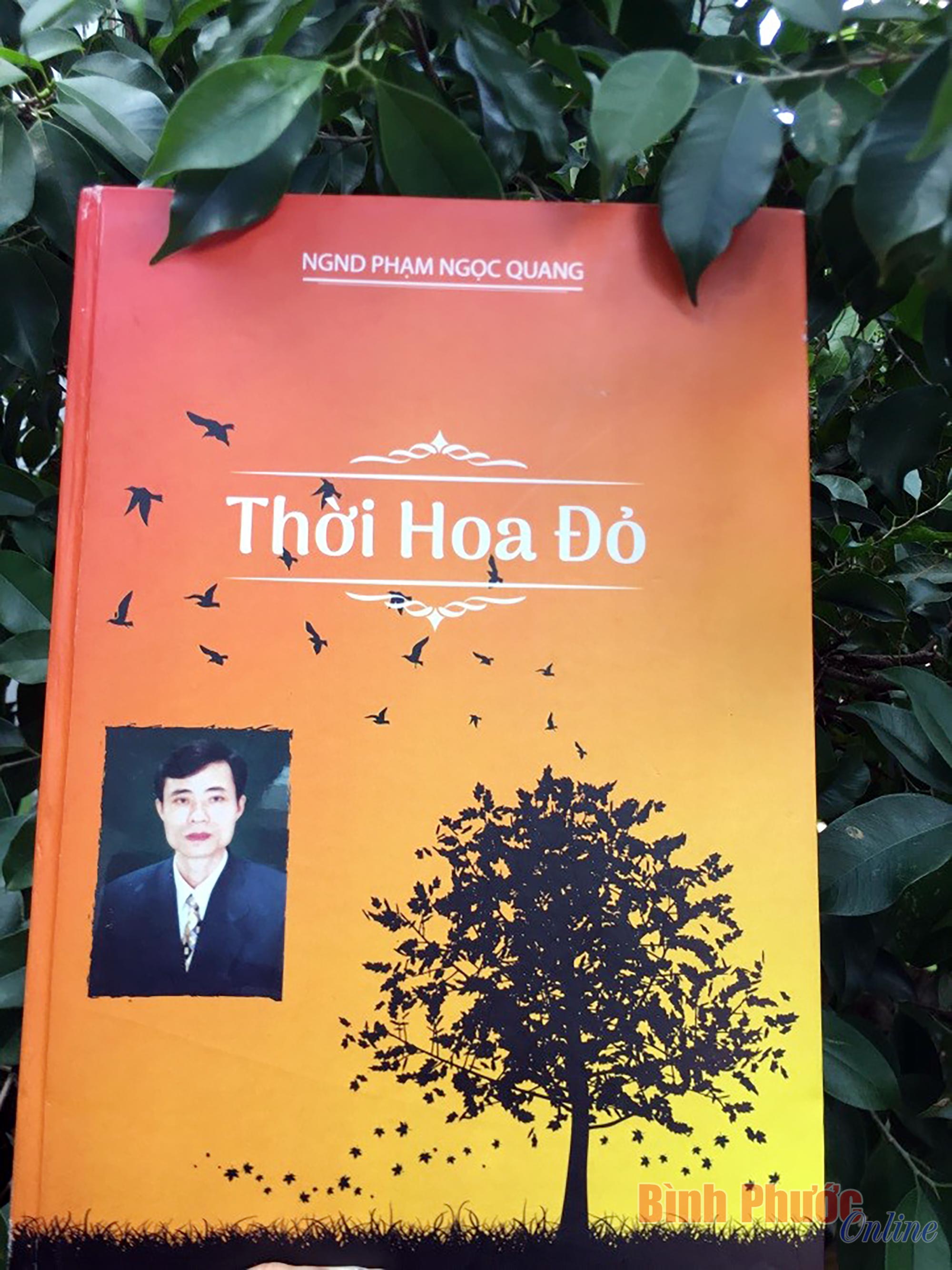 “Thời hoa đỏ”