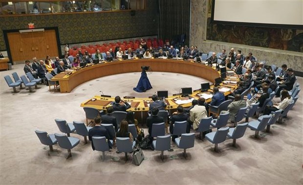 Xung dot Hamas-Israel: Nga, UAE keu goi Hoi dong Bao an hop khan hinh anh 1