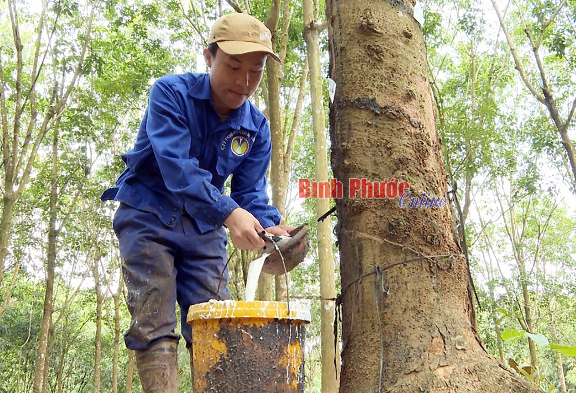 Đào tạo nghề lao động nông thôn