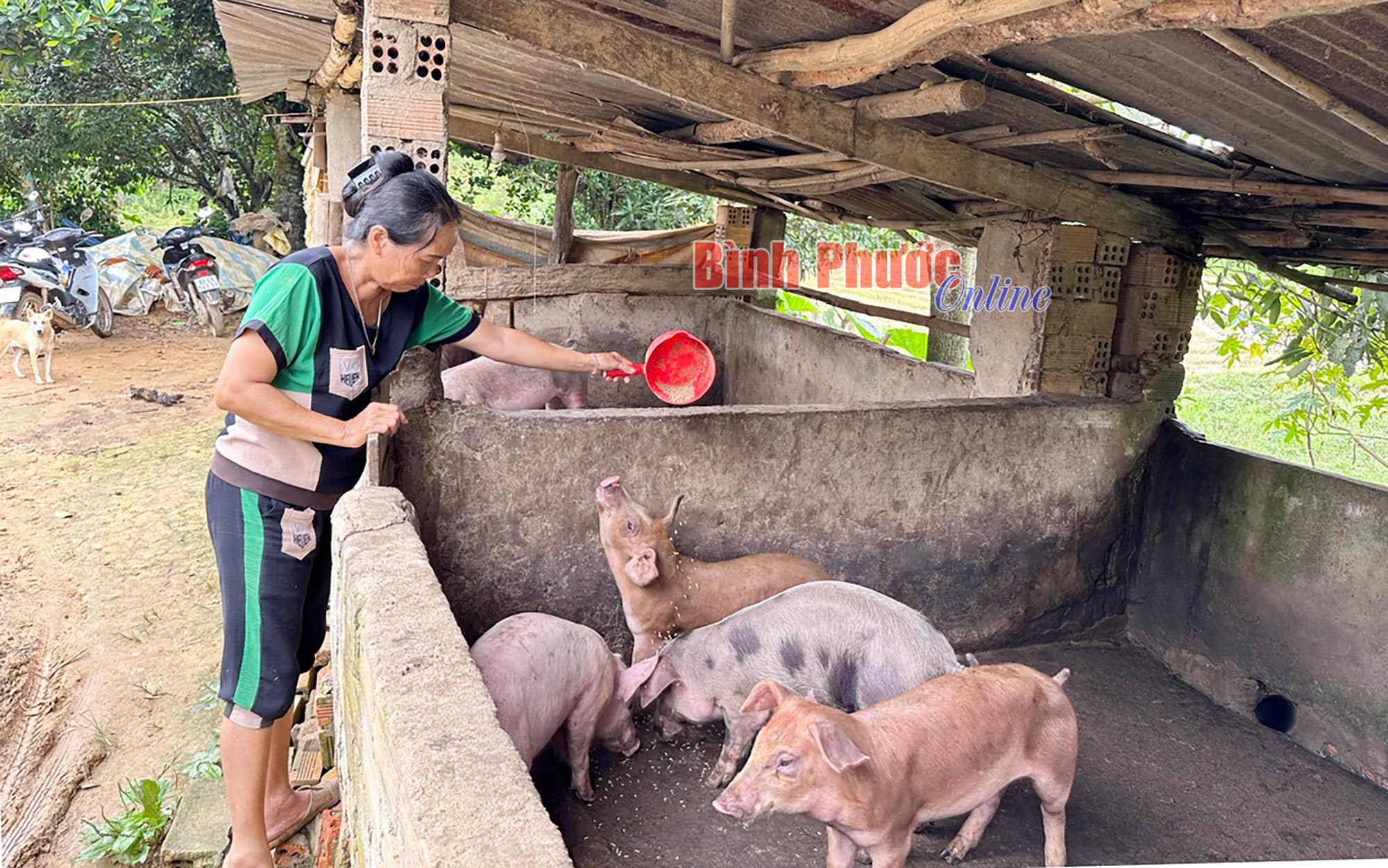 Đăng Hà nỗ lực giảm nghèo