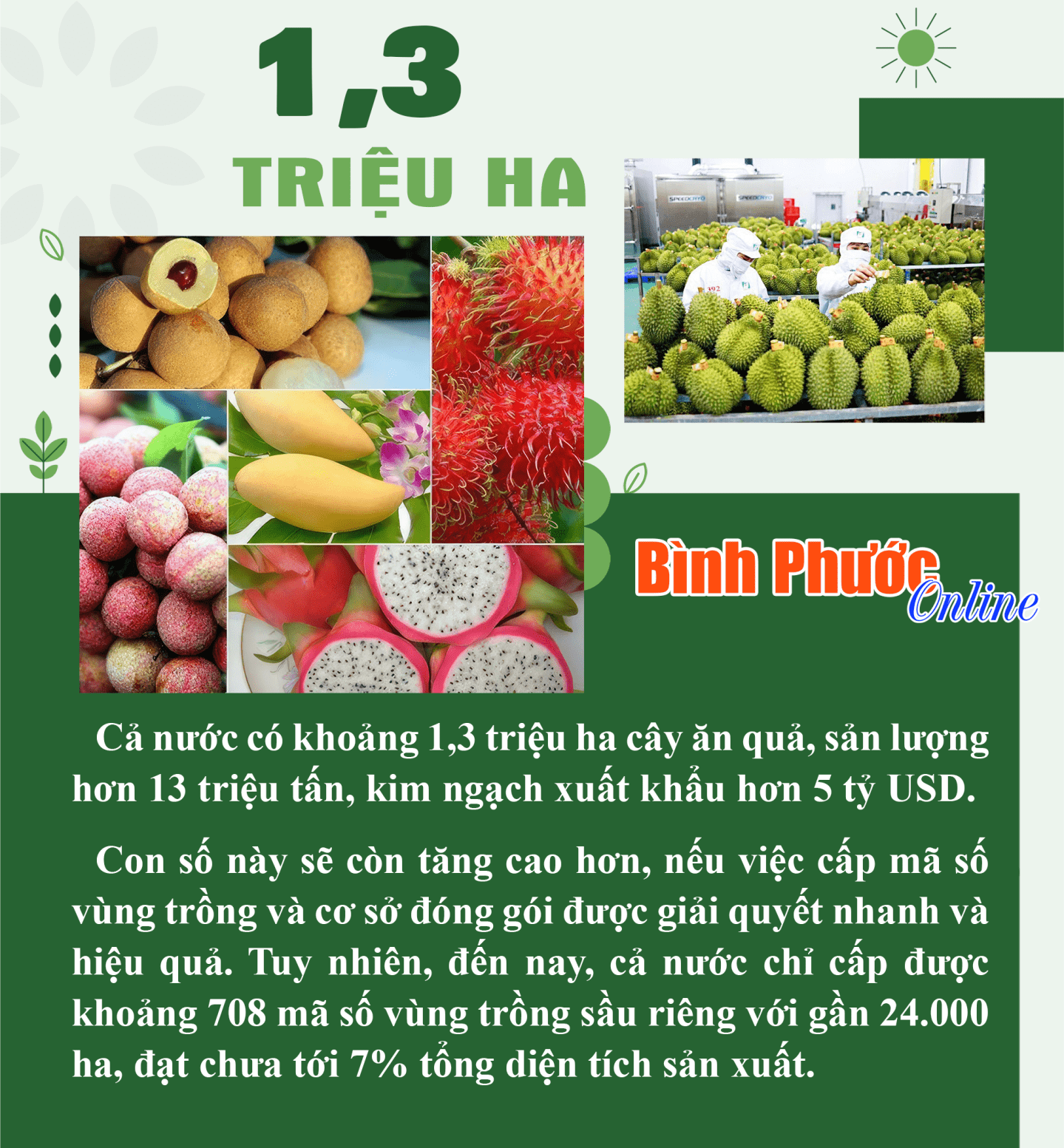 Cả nước có khoảng 1,3 triệu ha cây ăn quả