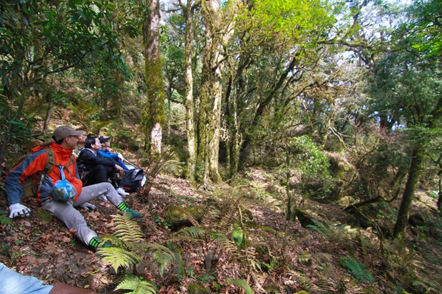 Du lịch Việt trước thách thức cơ cấu lại để ‘sống sót’ sau COVID-19 hình ảnh 3 Du lich Viet truoc thach thuc co cau lai de ‘song sot’ sau COVID-19 hinh anh 3