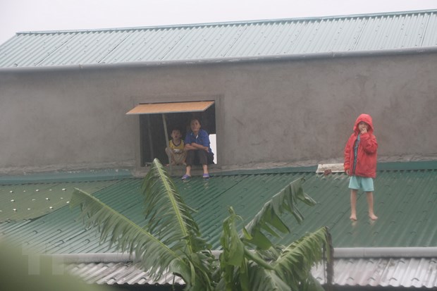 Khu vuc tu Nghe An den Khanh Hoa chu dong ung pho voi bao so 10 hinh anh 1