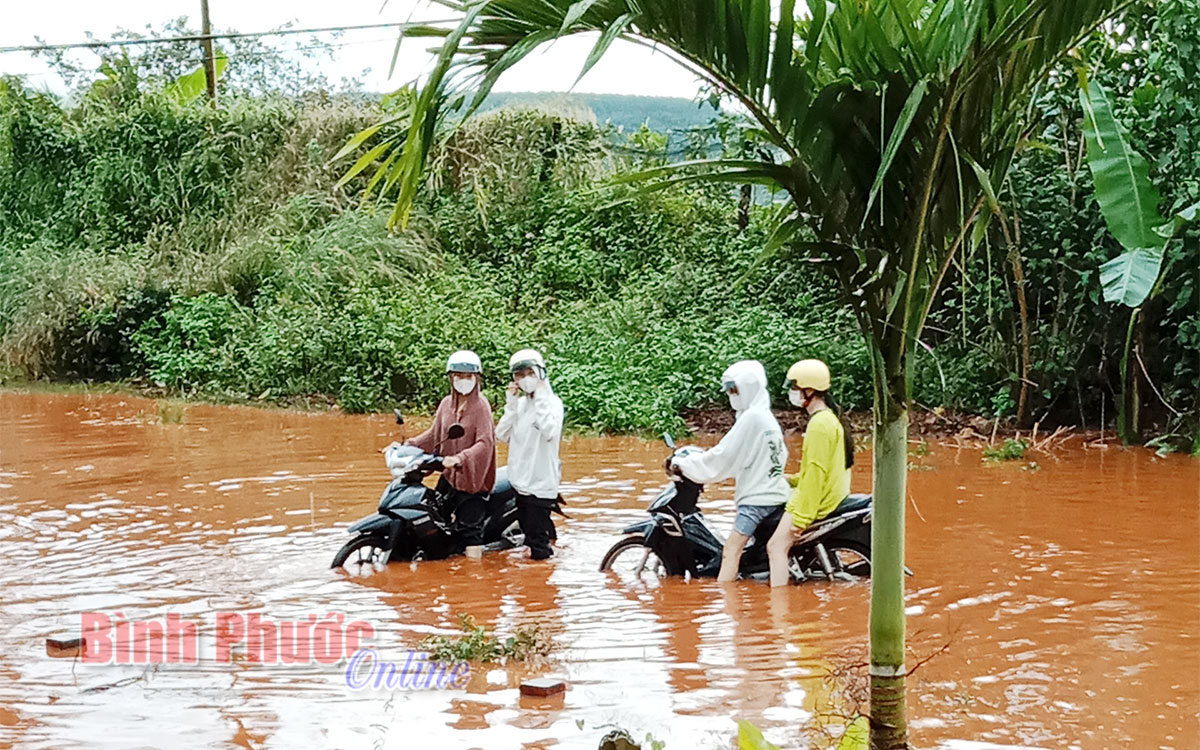 ĐT755 đoạn qua xã Thống Nhất: Bao giờ hết ngập?