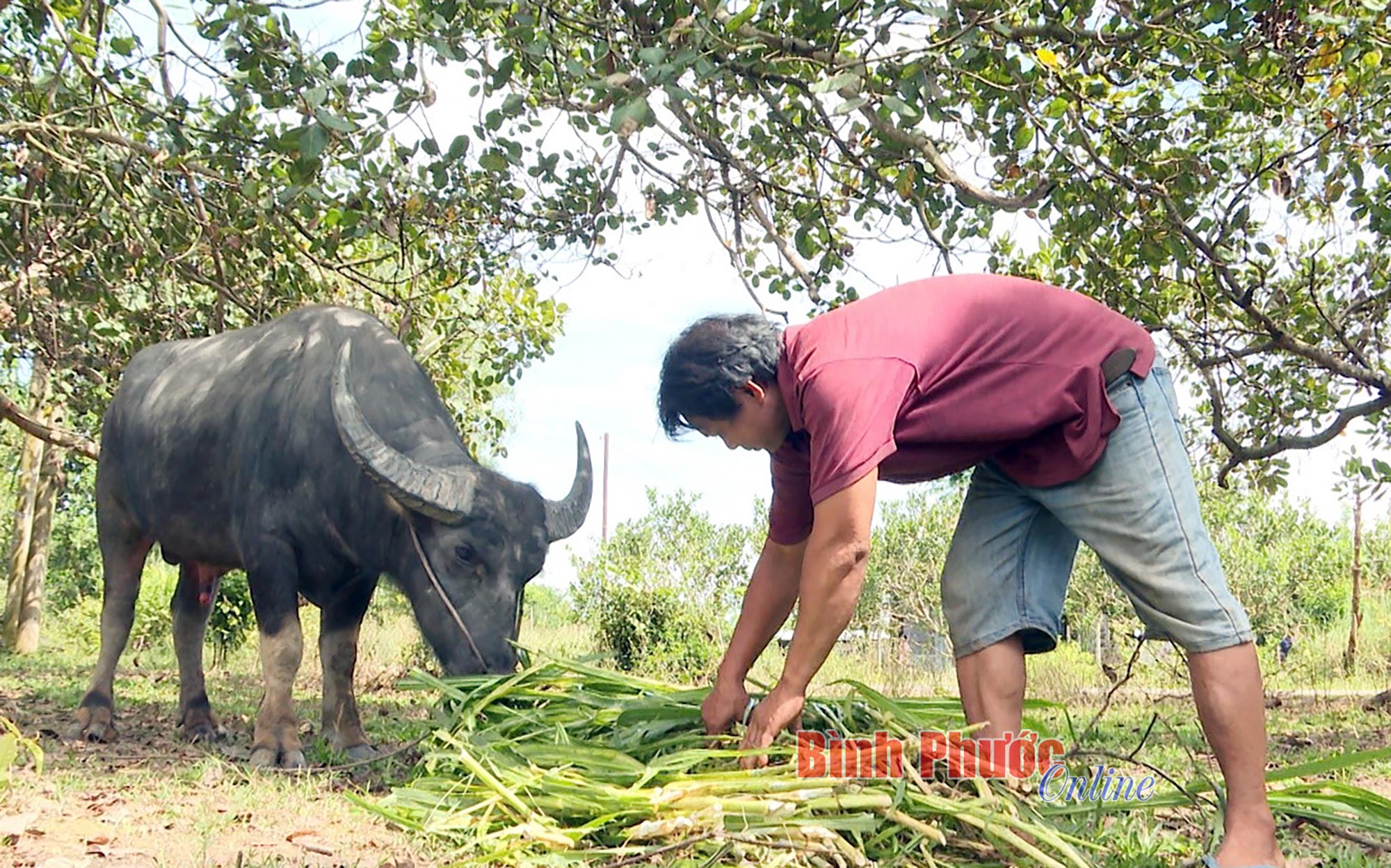 Sức bật cho vùng dân tộc thiểu số