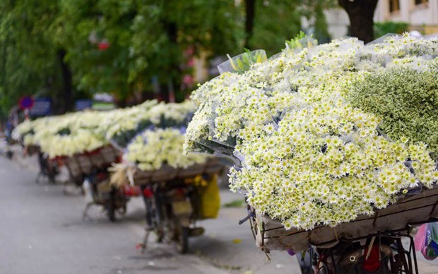 Nhung diem du lich tuyet voi o Viet Nam phai den vao mua Thu hinh anh 9