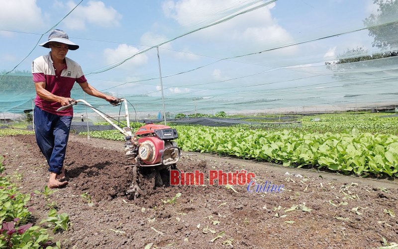 通りの真ん中で農業 – Binh Phuoc, Binh Phuoc News, Binh Phuoc Province News