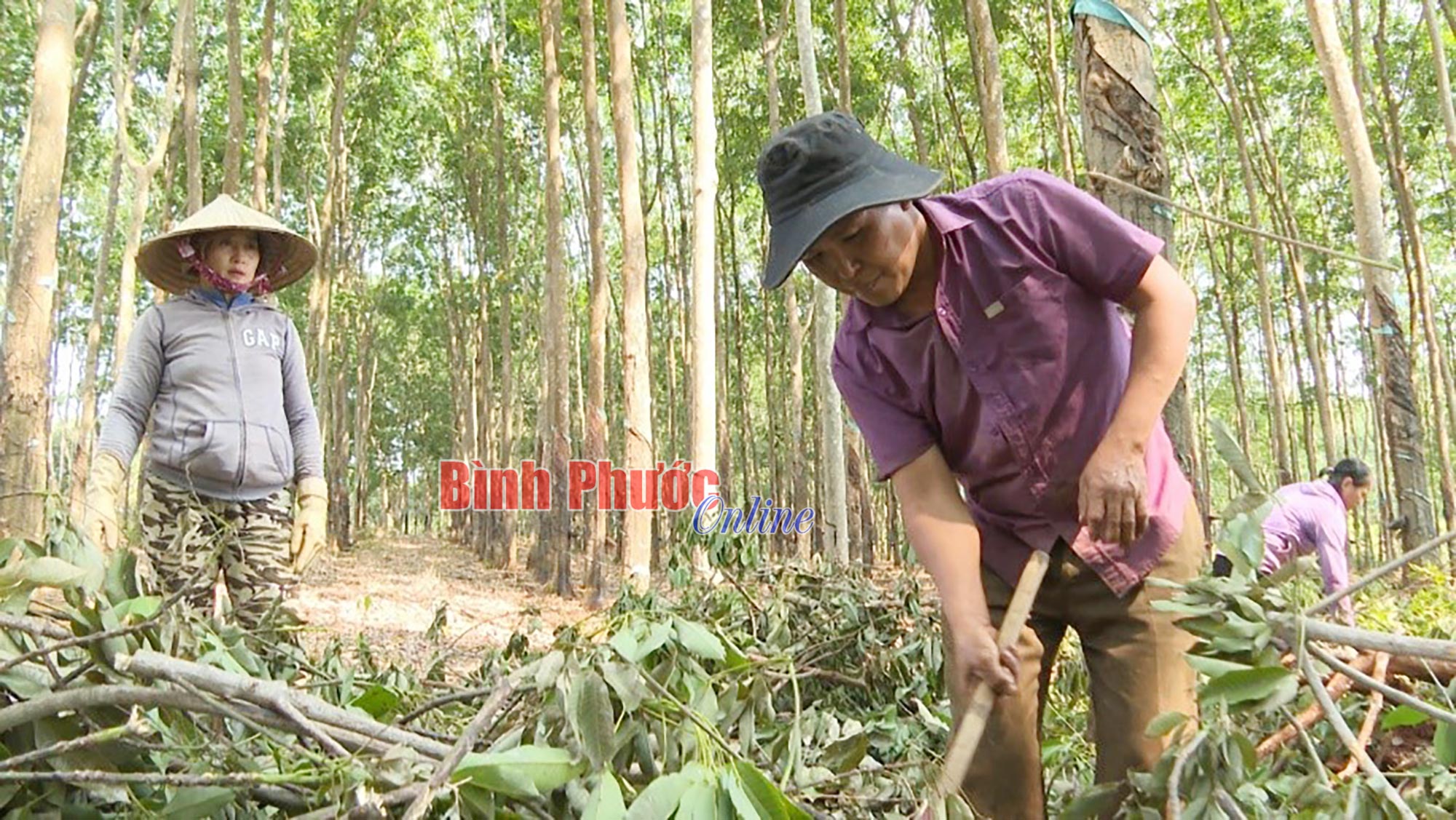 Đẩy nhanh tiến độ các dự án vùng dân tộc thiểu số