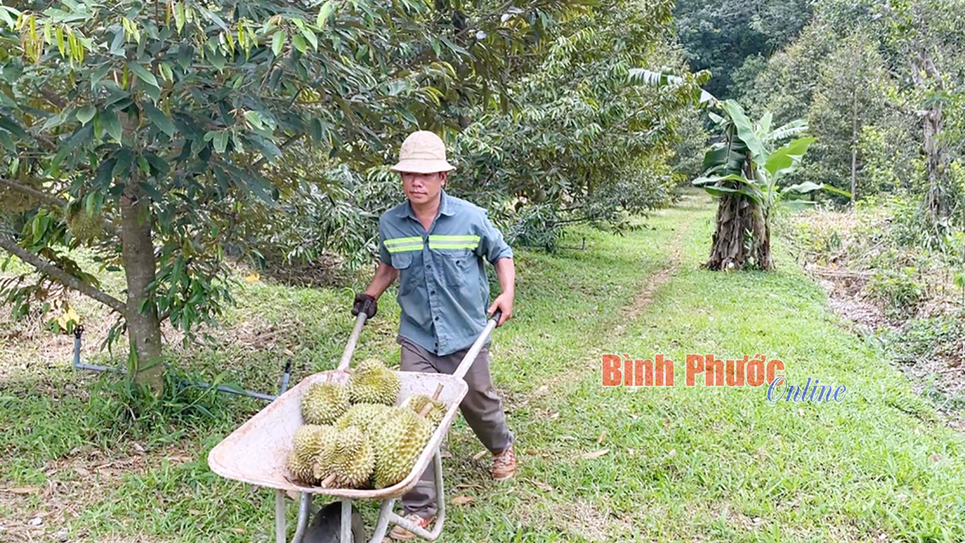 Tăng cường tuyên truyền về cơ cấu lại ngành nông nghiệp