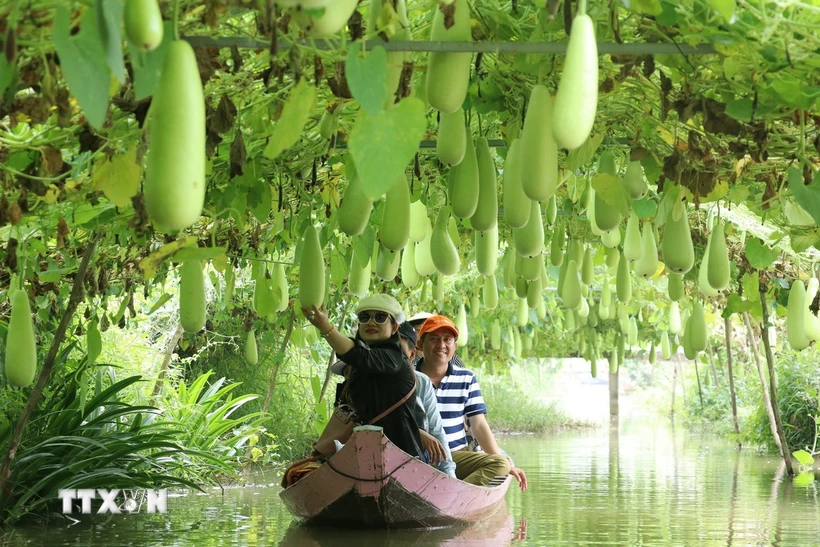 Du khách đi thuyền tham quan vùng trồng bầu của Khu du lịch Trần Bá Chuốt,ịchnocircngnghiệ<strong>cập nhật tỷ số bóng đá hôm nay</strong> huyện Lai Vung. Mô hình làm du lịch nông nghiệp này giúp nông dân Đồng Tháp cải thiện thu nhập, vừa phát triển kinh tế nông nghiệp. (Ảnh: Nguyễn Văn Trí/TTXVN)