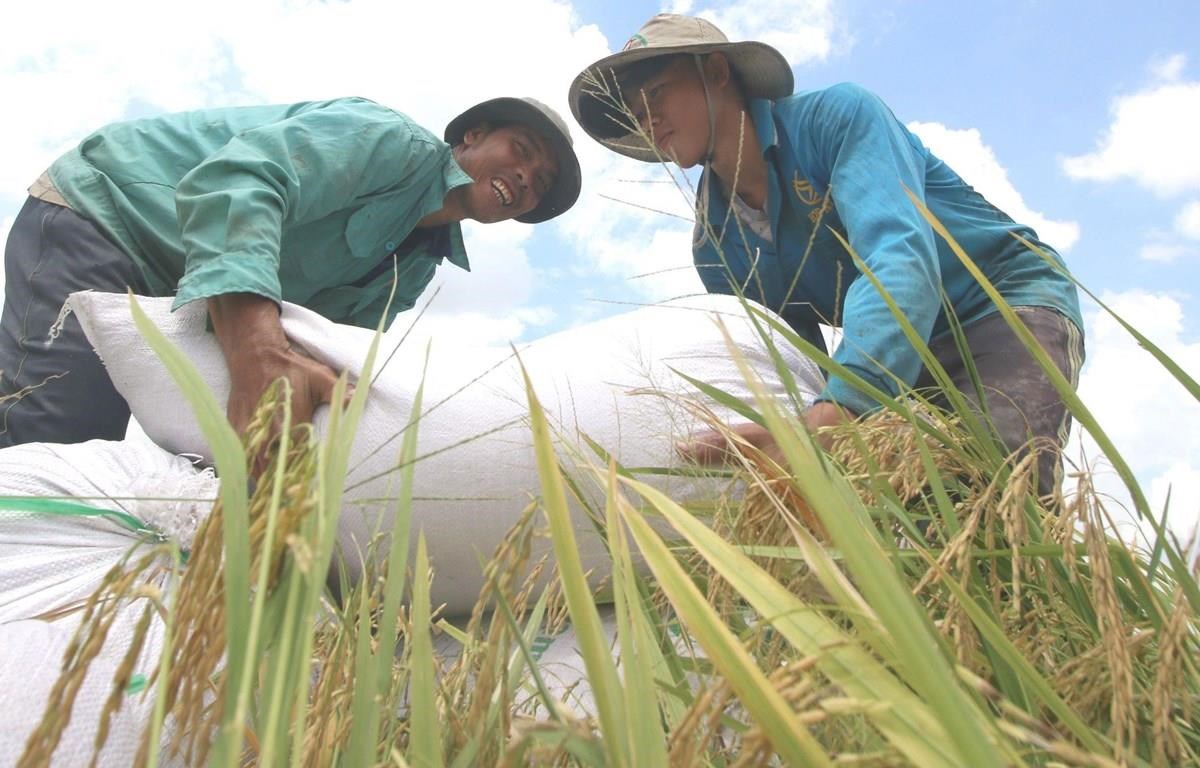 Thành tựu về quyền con người ở Việt Nam: Hành trình không ngừng nghỉ