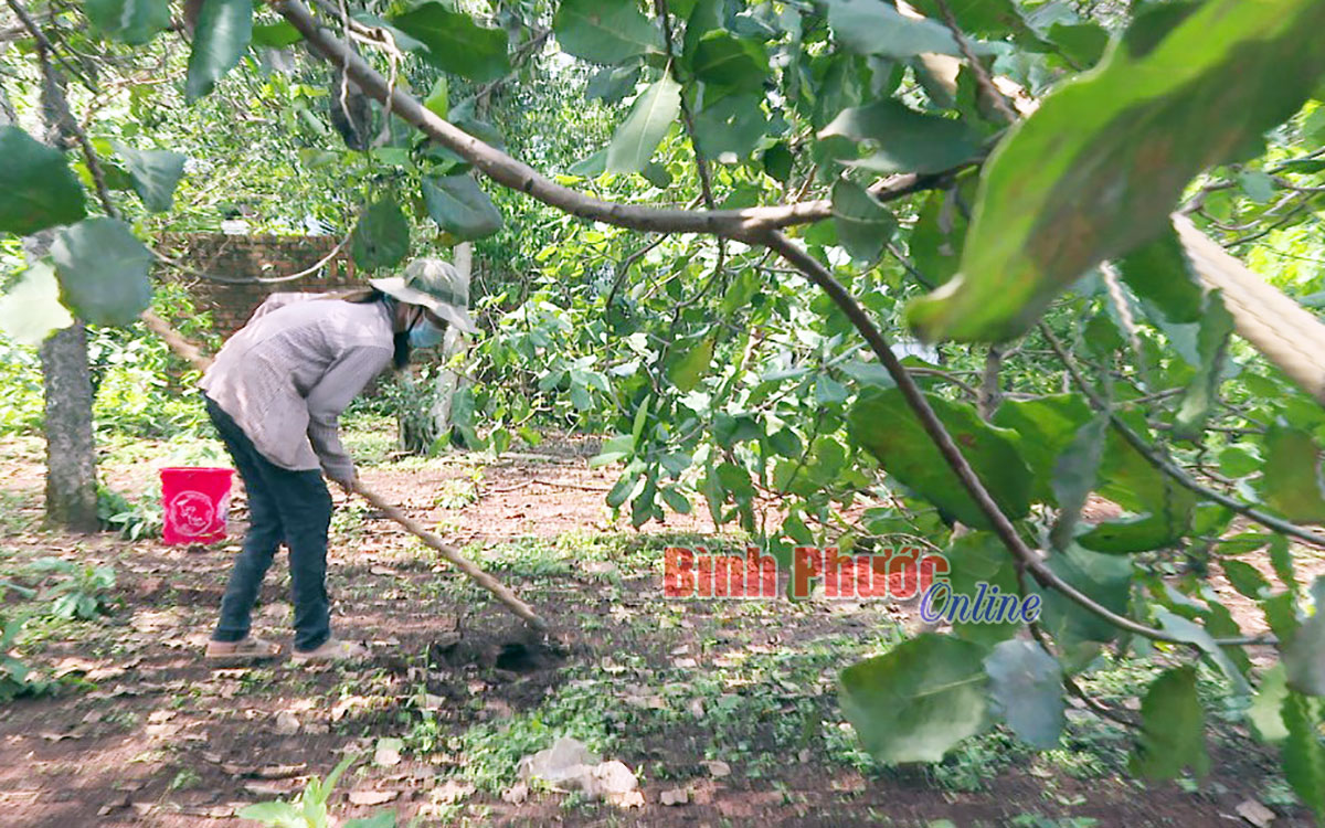 Giảm nghèo bền vững từ vốn vay ưu đãi