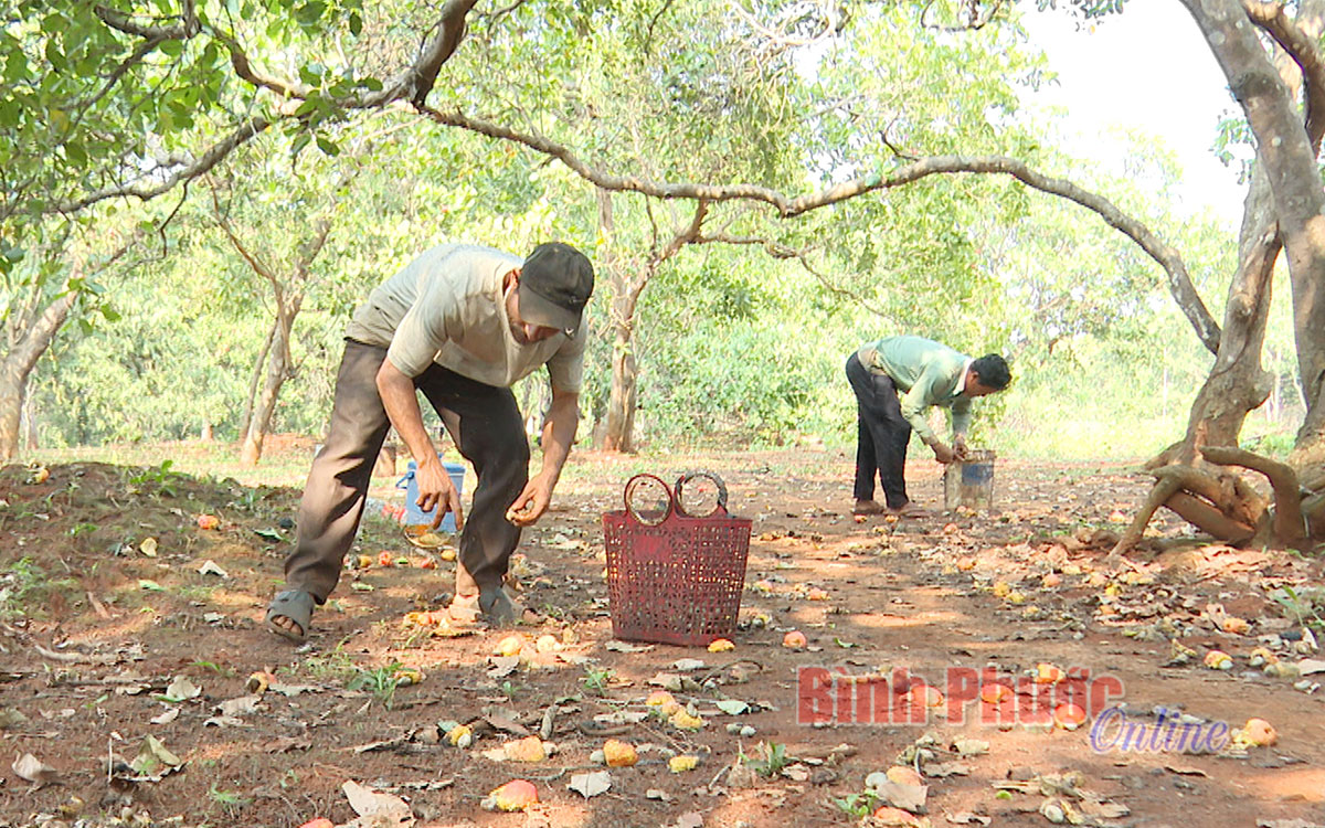 Cầm cố đất, vay nặng lãi vùng DTTS