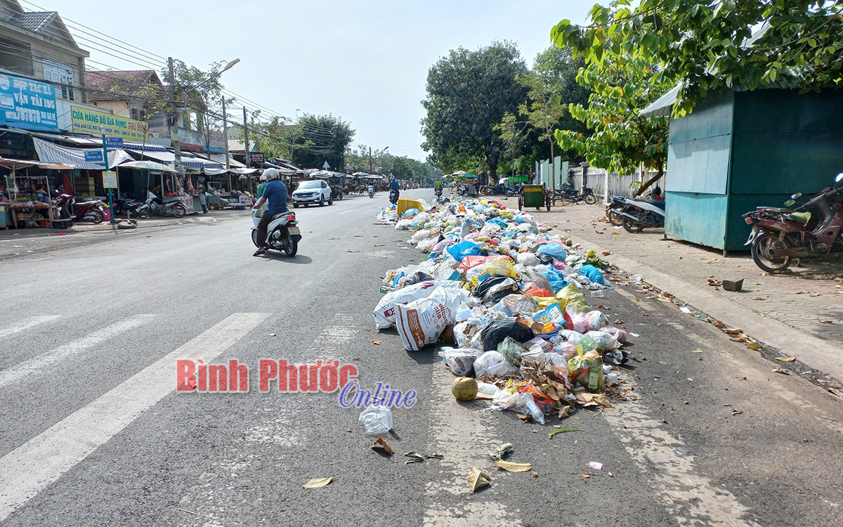 Bãi rác giữa đường