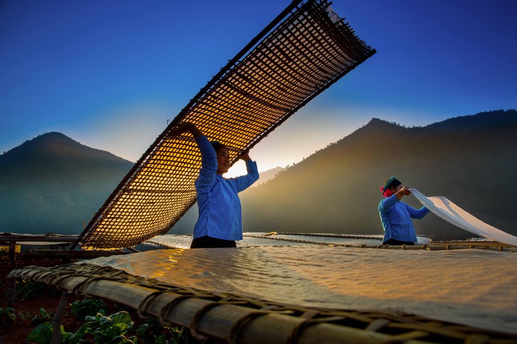 Đón nắng.