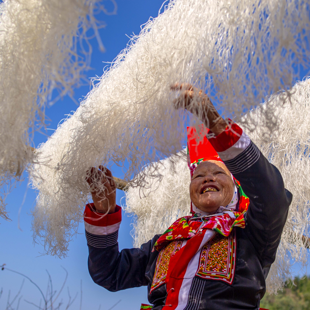 Phơi miến sợi.