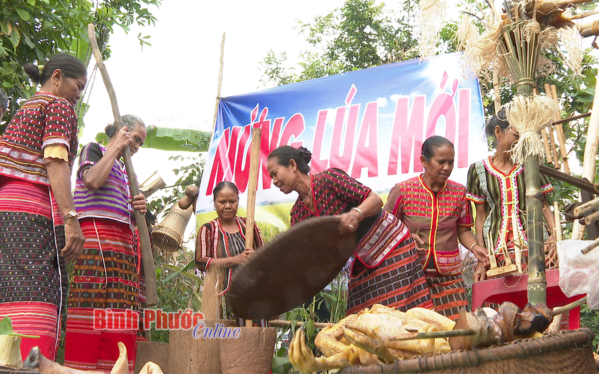 Đặc sắc lễ hội Mừng lúa mới của người S’tiêng