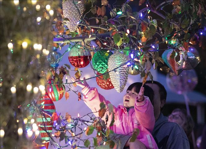 Ch&uacute; th&iacute;ch ảnh