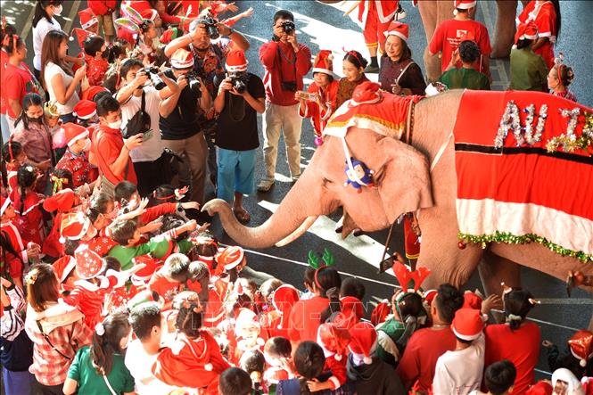 Ch&uacute; th&iacute;ch ảnh