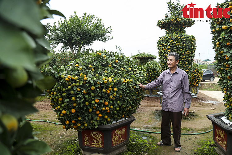 Ch&uacute; th&iacute;ch ảnh