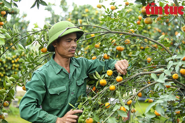 Ch&uacute; th&iacute;ch ảnh