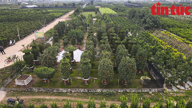 Ch&uacute; th&iacute;ch ảnh