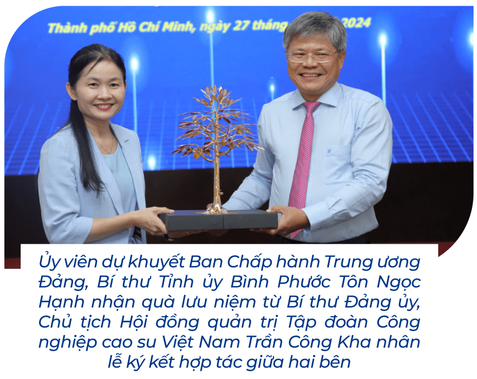 Mua nha truoc 30 tuoi o TP.HCM, Ha Noi, giac mo co xa voi? hinh anh 2 