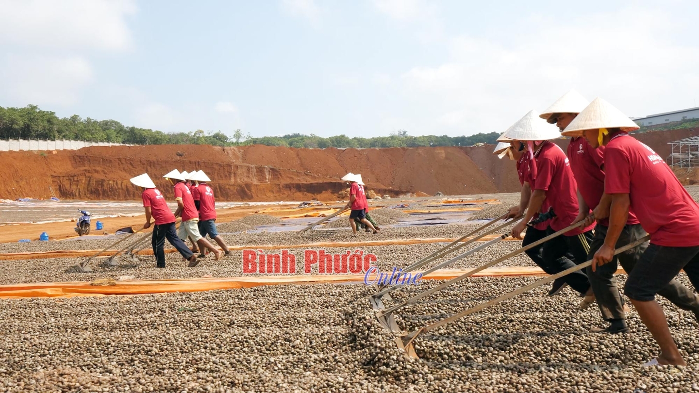 Bình Phước sẽ vươn mình trở thành điểm sáng nông nghiệp