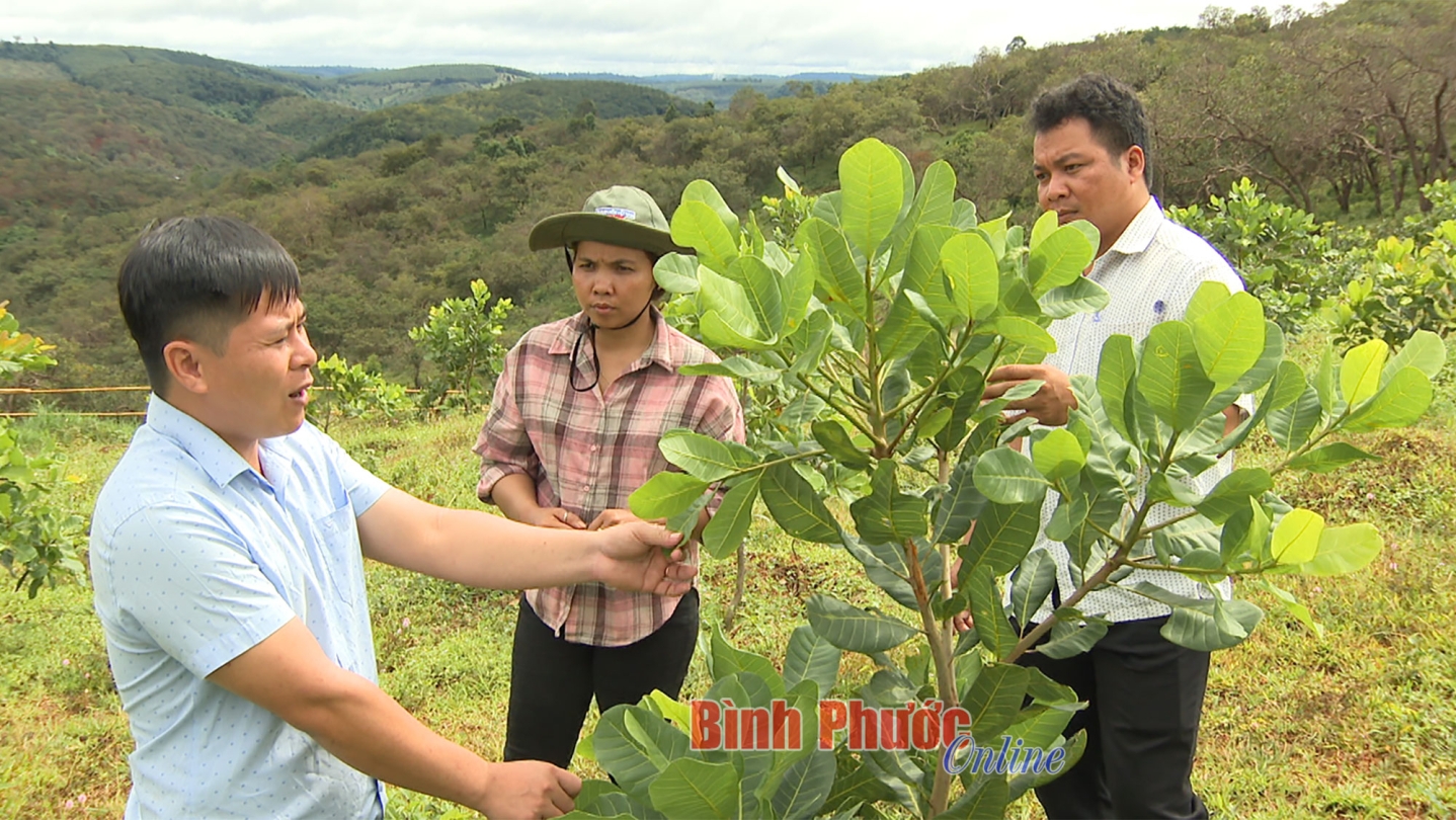 Điểm sáng phát triển đảng viên dân tộc thiểu số