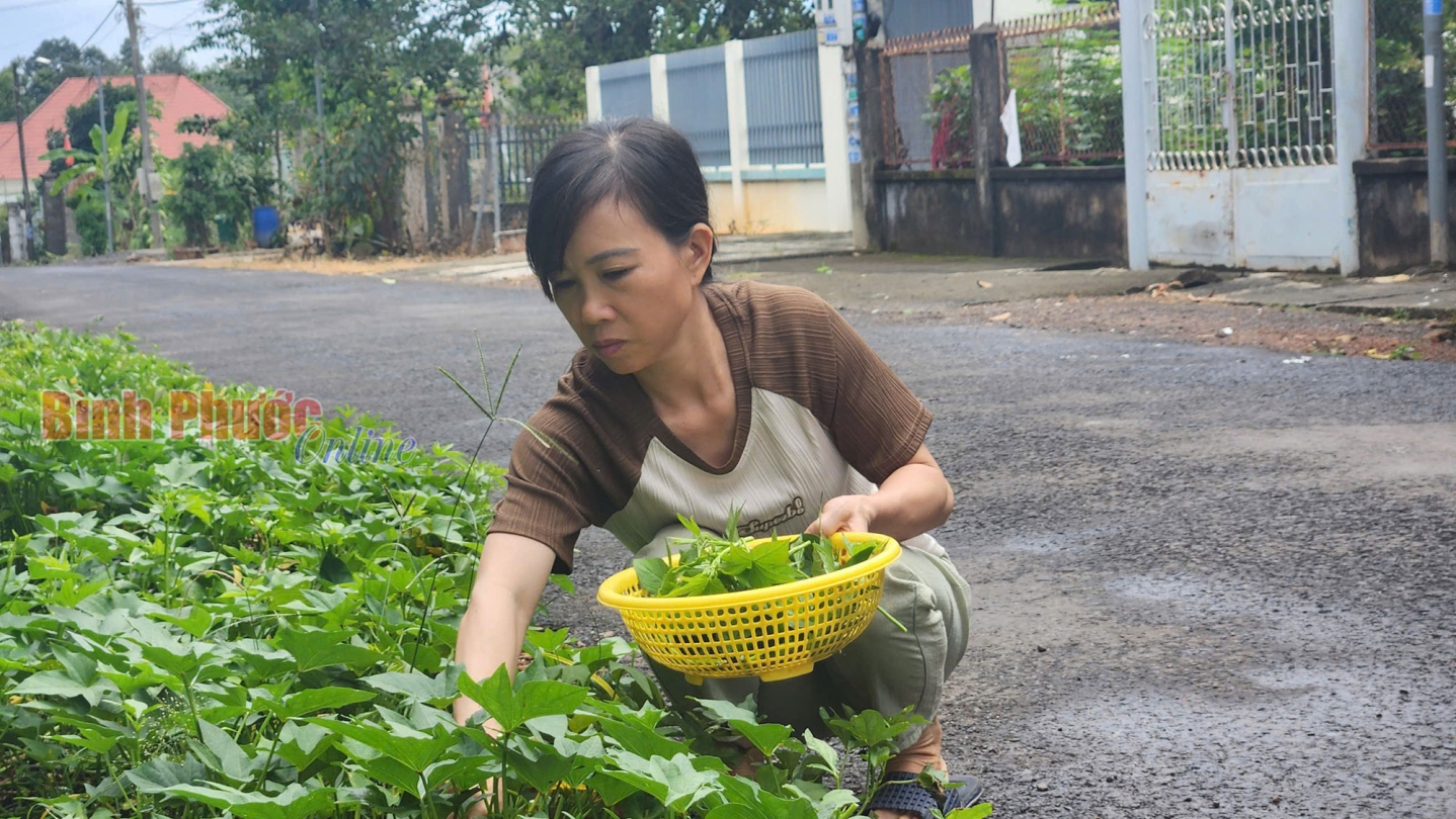 Mẹ đơn thân mong đủ sức khỏe nuôi con trưởng thành