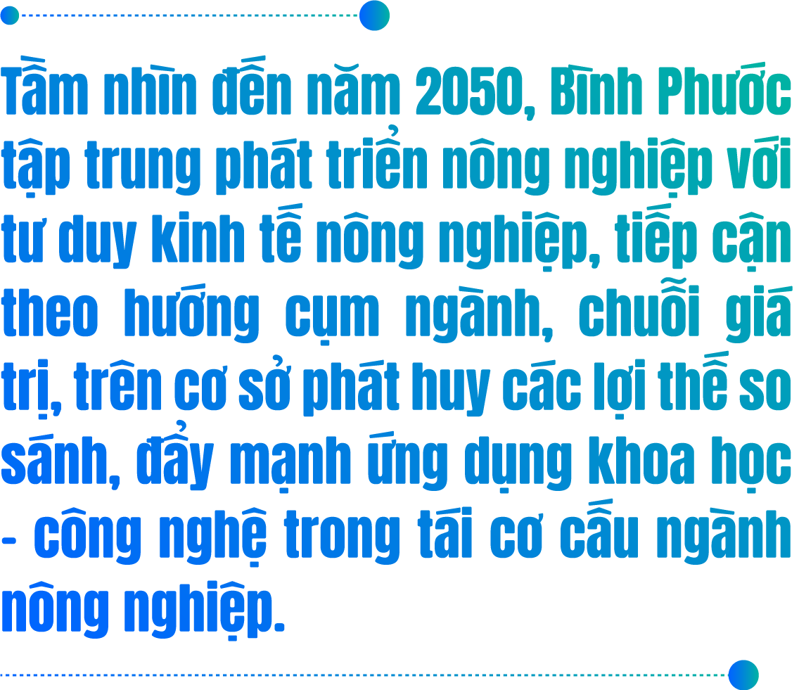 Mua nha truoc 30 tuoi o TP.HCM, Ha Noi, giac mo co xa voi? hinh anh 4 