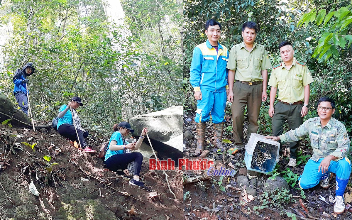 Tiềm ẩn nguy hại khi phóng sinh động vật hoang dã