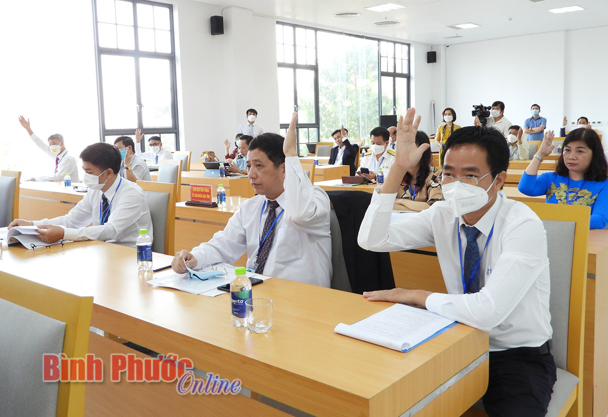 binh phuoc phai la hat nhan tich cuc trong nganh dieu viet nam