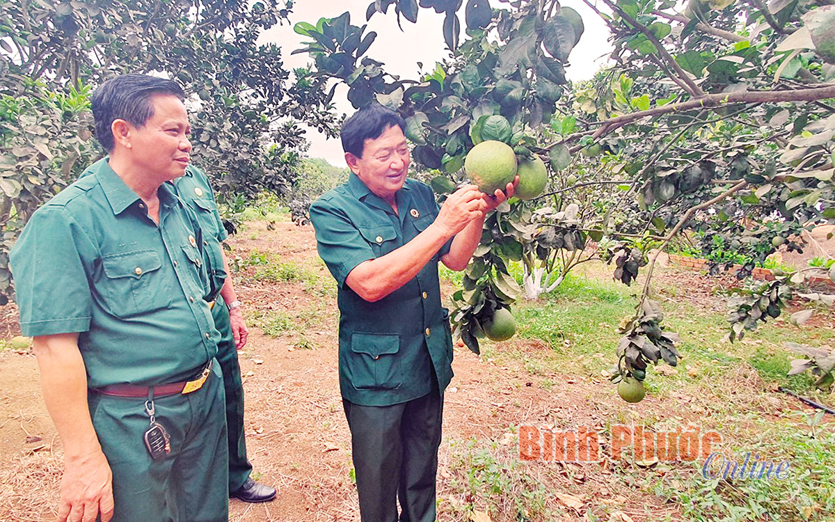 Ngày xuân, nghe cựu chiến binh kể chuyện