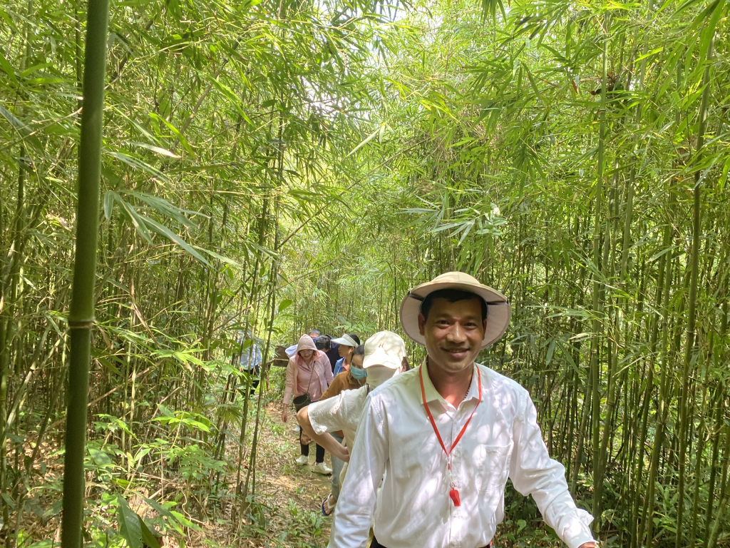 นักท่องเที่ยวเยี่ยมชมป่าไผ่ในชุมชน Ky Thuong เมืองฮาลอง