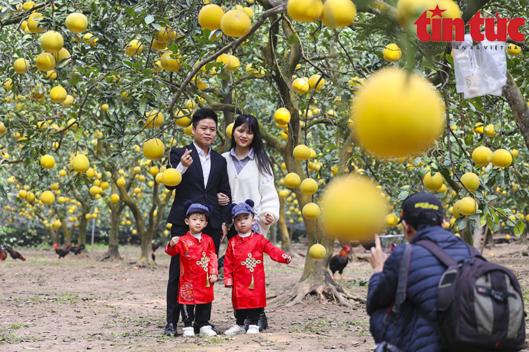 Ch&uacute; th&iacute;ch ảnh