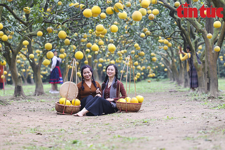 Ch&uacute; th&iacute;ch ảnh